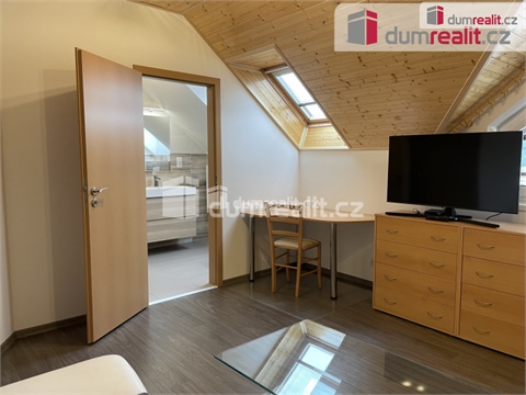 Pronájem bytu 1kk, 30 m² - 8