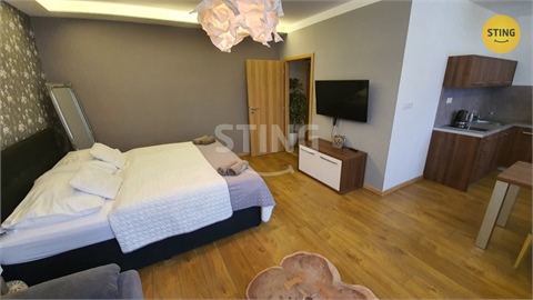 Pronájem bytu 1kk, 34 m² 2