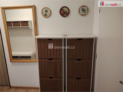 Pronájem bytu 2+1, 75 m² - 12